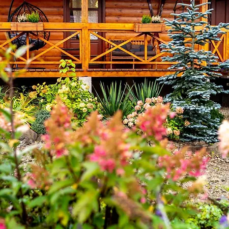 Skrawek Nieba * Ropa