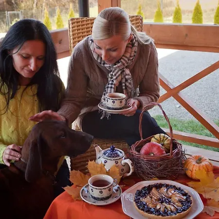 Skrawek Nieba 팜스테이 *