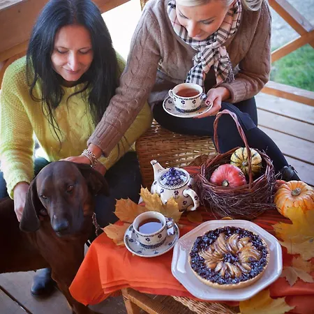 Skrawek Nieba * Ropa