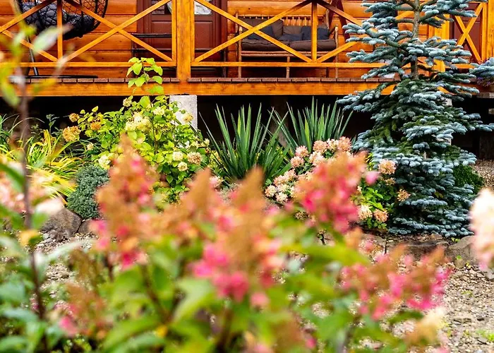 Skrawek Nieba * Ropa